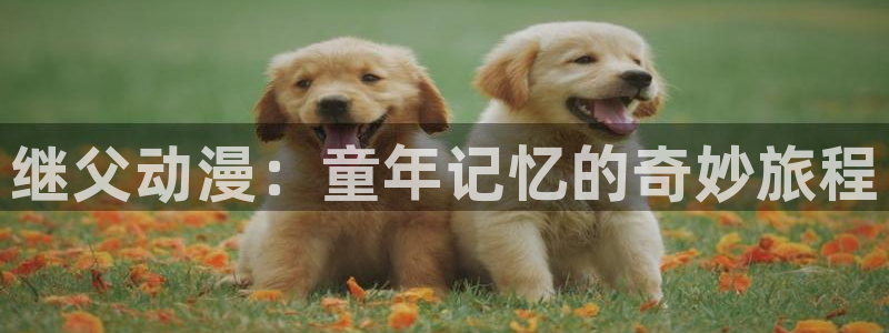 火影91动漫：继父动漫：童年记忆的奇妙旅程