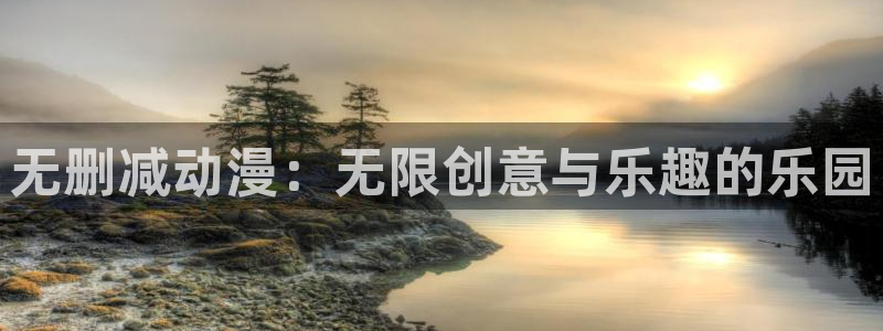 91动漫网络