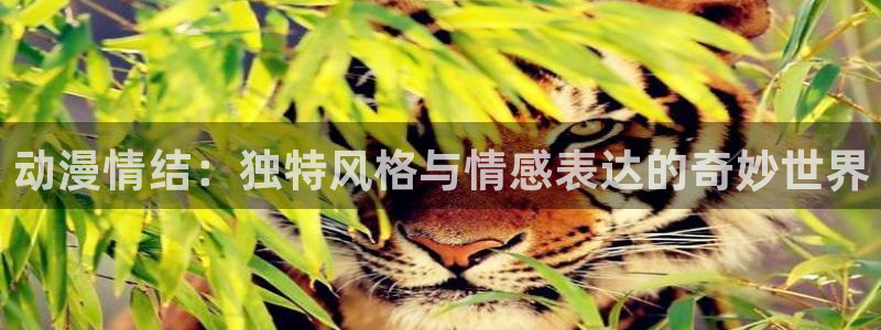 91动漫片子