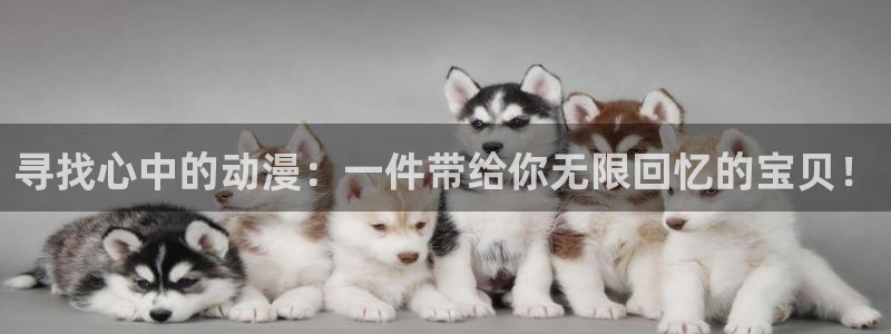 91动漫有哪些