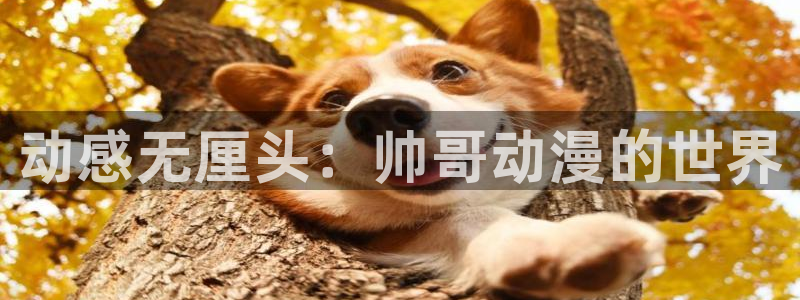91动漫网站免费观看