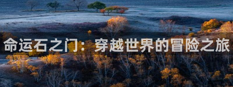 com91动漫：命运石之门：穿越世界的冒险之旅